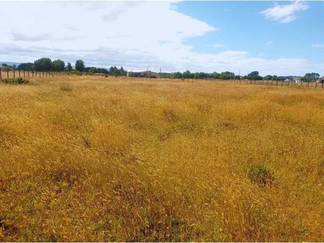 Parcela Quilquico, Castro Chiloé