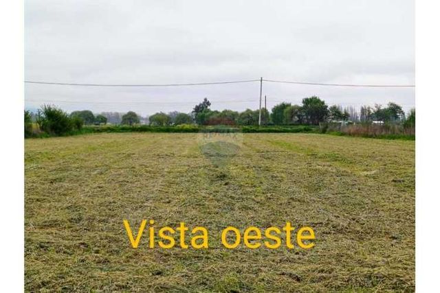 Increible oportunidad de inversión en paine