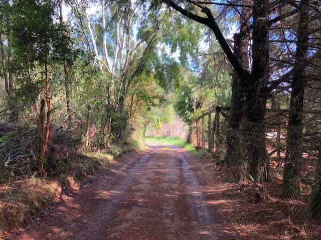 Se vende terreno en el Rebellín 15 minutos a entrada Valdivia