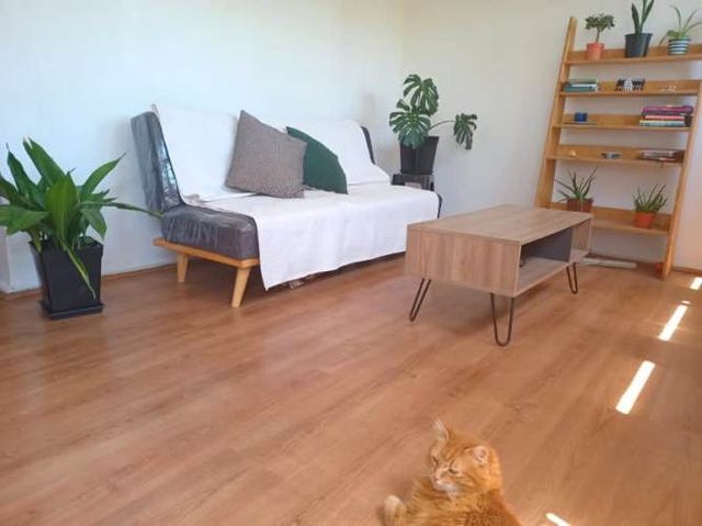 Departamento ALCALDE JORGE MONCKEBERG CON GRECIA