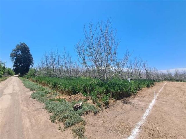 SITIO Santa Cecilia / San Jose