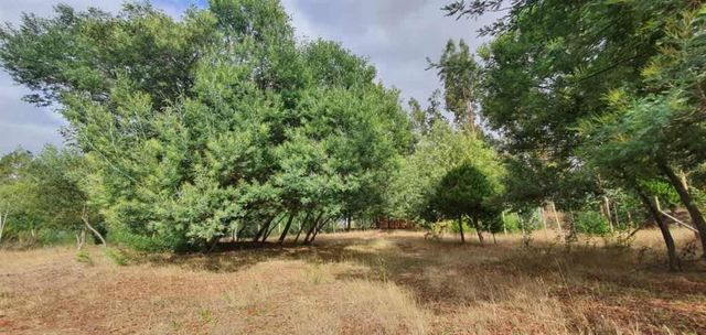 PARCELA RUTA S-264 NUEVA IMPERIAL - LABRANZA