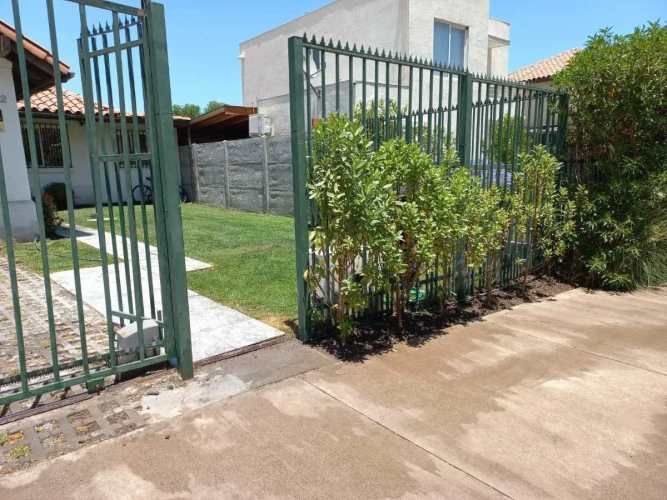 AYRES DE CHICUREO (98351)