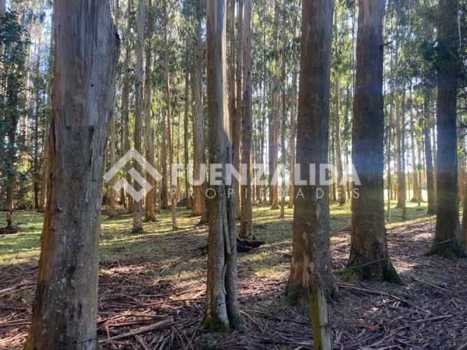 CASA CONDOMINIO LAS TRANQUERAS km8