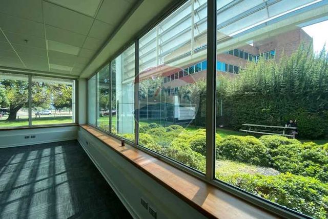 Buscas oficina en ciudad empresarial?