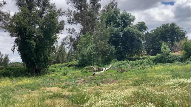 Melipilla | Vendo parcela de agrado, melipilla