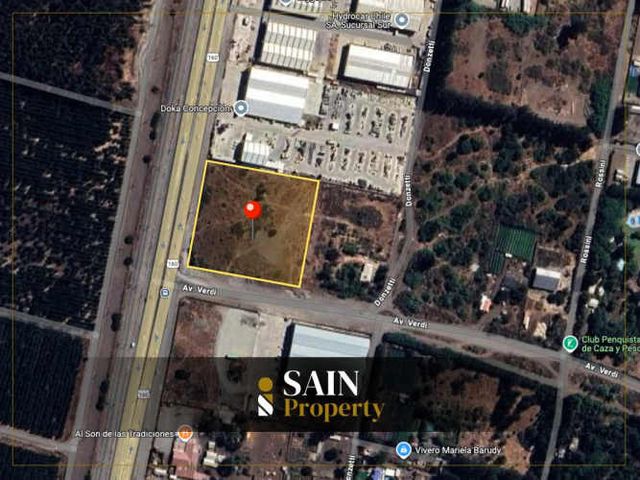 Terreno para Desarrollo Inmobiliario (98970)