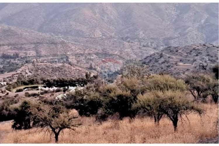 "terreno ideal en fundo san francisco, chile"