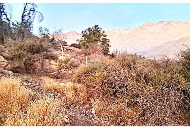 "terreno ideal en fundo san francisco, chile"