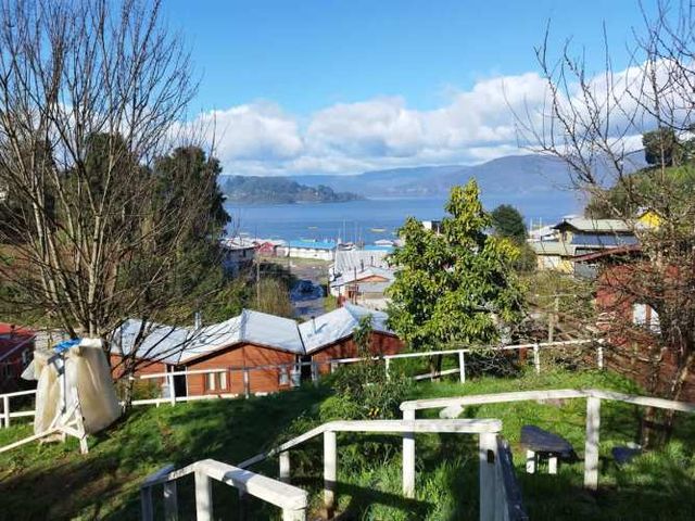 PARCELA sector niebla