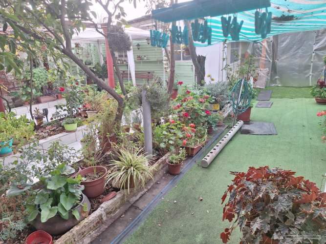 Población San Francisco SOLO CONTADO