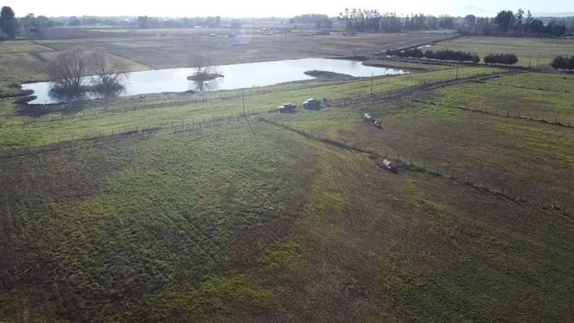 LA MAGIA DEL SUR, VENTA DE PARCELA EN FREIRE, SIN PEAJE