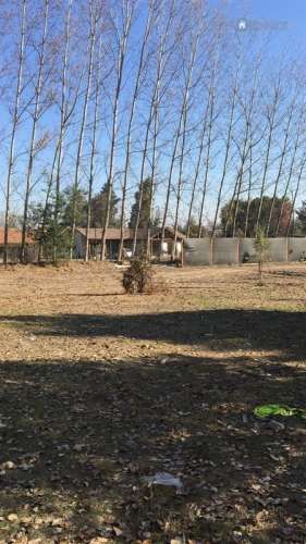 SITIO ARRIENDO Requinoa, Caletera poniente ruta sur