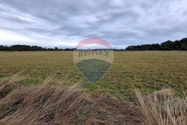 Parcela con vistas panorámicas en pto.octay