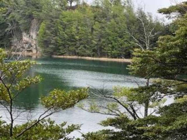 SITIO Hermoso terreno orilla Lago Alto Aysén