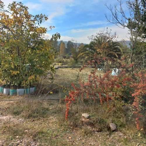 SITIO En Venta / Arriendo Parcela en Alto El Manzano, cercana a Lago Rapel