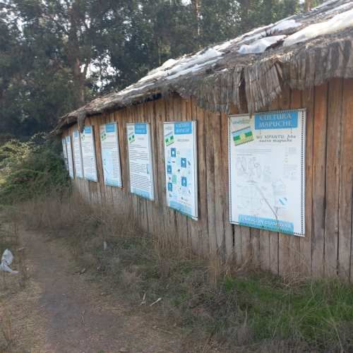 SITIO En Venta / Arriendo Parcela en Alto El Manzano, cercana a Lago Rapel