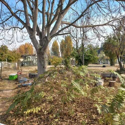 SITIO En Venta / Arriendo Parcela en Alto El Manzano, cercana a Lago Rapel