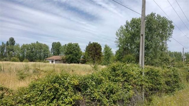 AGRICOLA En Venta/Arriendo : Propiedad Agricola de 7,3 Hectáreas. Linares