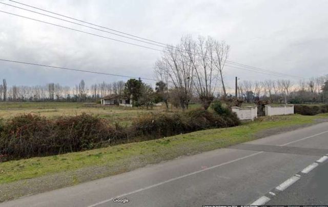 AGRICOLA En Venta/Arriendo : Propiedad Agricola de 7,3 Hectáreas. Linares