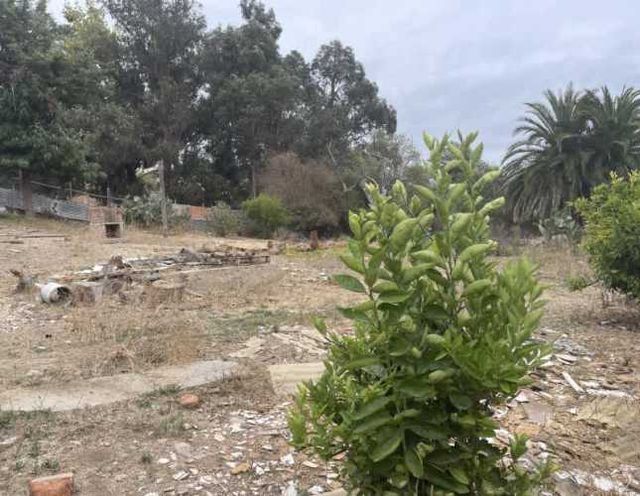 Sitio SE ARRIENDA TERRENO (CÓD. 497)