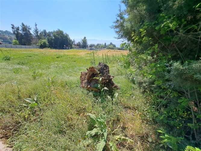 PARCELA El alba 2 / Av. Chicureo