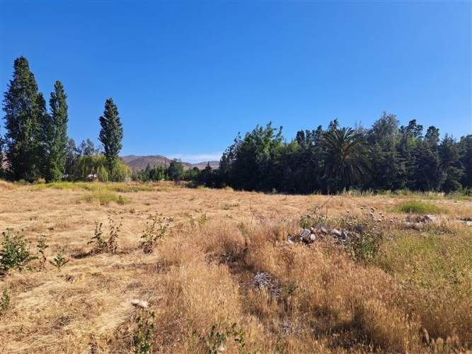 PARCELA El alba 2 / Av. Chicureo