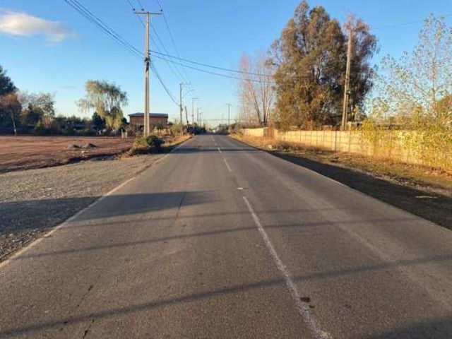 SITIO Chacarillas/Fundo el Sausal