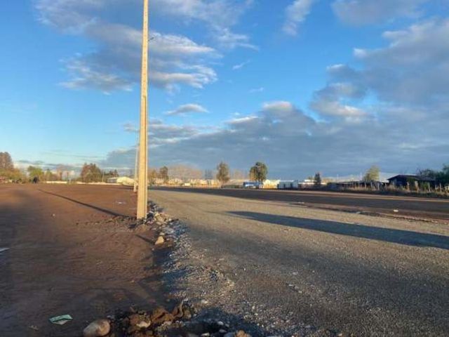 SITIO Chacarillas/Fundo el Sausal