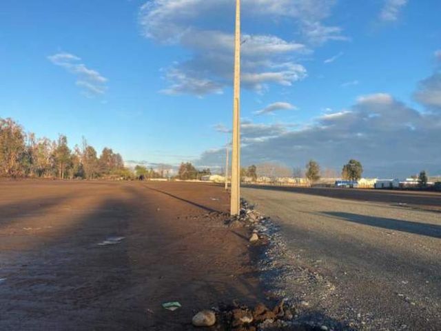 SITIO Chacarillas/Fundo el Sausal