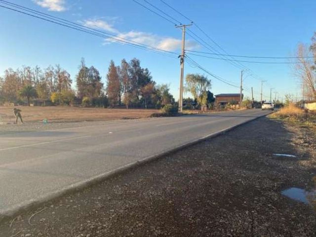 SITIO Chacarillas/Fundo el Sausal