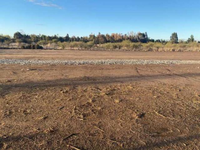 SITIO Chacarillas/Fundo el Sausal