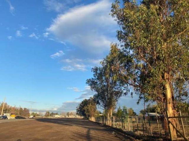 SITIO Chacarillas/Fundo el Sausal