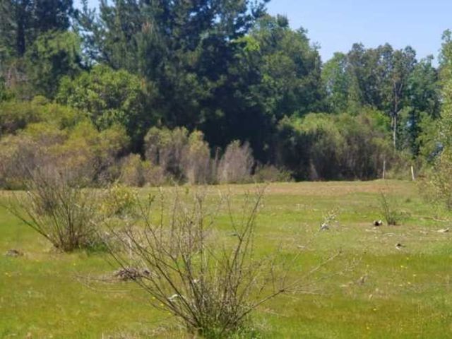 PARCELA Camino Villa Baviera/Camino Catillo