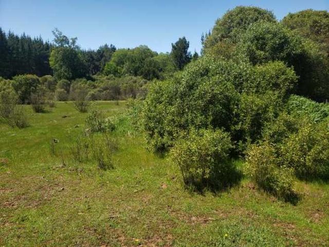 PARCELA Camino Villa Baviera/Camino Catillo