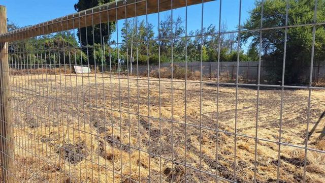 SITIO Casas Viejas / Camino San Vicente de Lo Arcaya