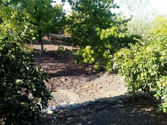 PARCELA Condominio Hacienda Chacabuco