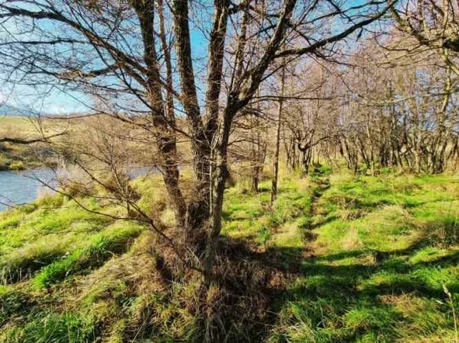 Casa SECTOR CRUCE VALLE SIMPSON