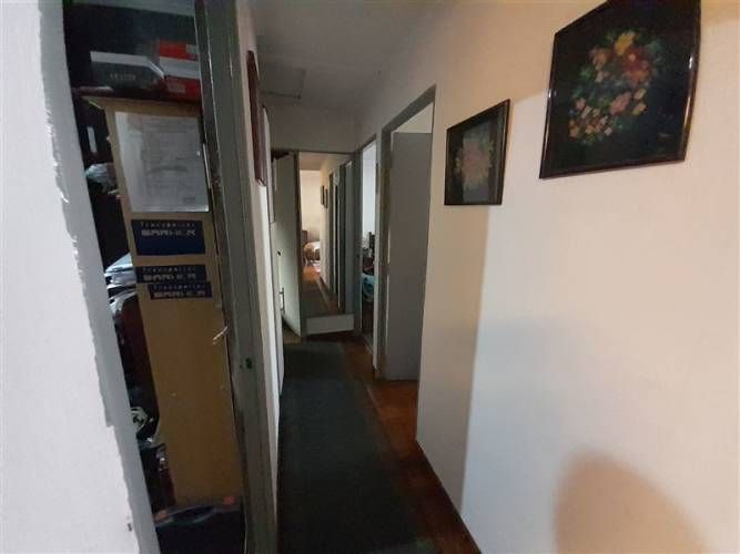 CASA las paulonias con las lumas