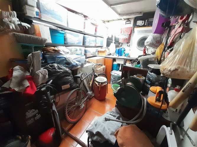 CASA las paulonias con las lumas