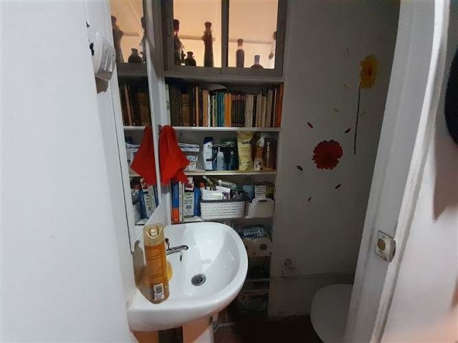 CASA las paulonias con las lumas