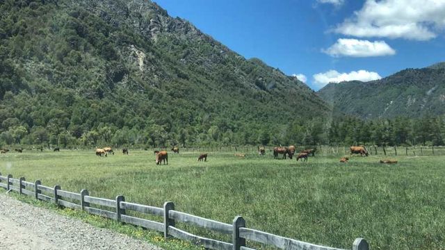 PARCELA DE ENSUEÑO EN MALALCAHUELLO, CON NIEVE, RÍO Y SOL