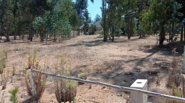 ¡Gran Oportunidad en El Quisco: Terreno de Ensueño