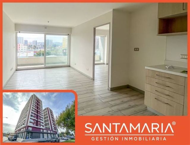 DEPARTAMENTO Manuel Rodriguez, Concepción