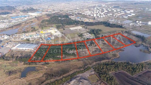 BODEGA Terminal San Vicente, Talcahuano