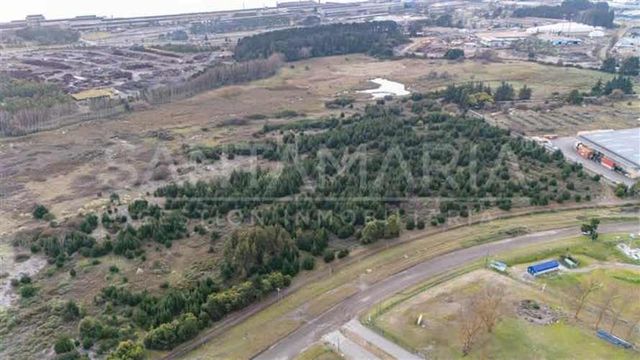 BODEGA Terminal San Vicente, Talcahuano