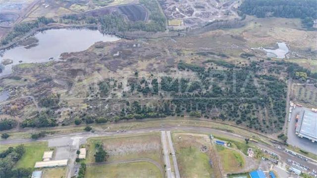 BODEGA Terminal San Vicente, Talcahuano