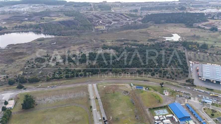 BODEGA Terminal San Vicente, Talcahuano
