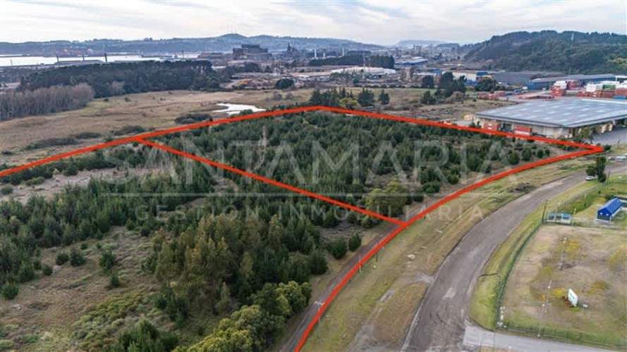 BODEGA Terminal San Vicente, Talcahuano