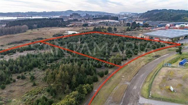 BODEGA Terminal San Vicente, Talcahuano